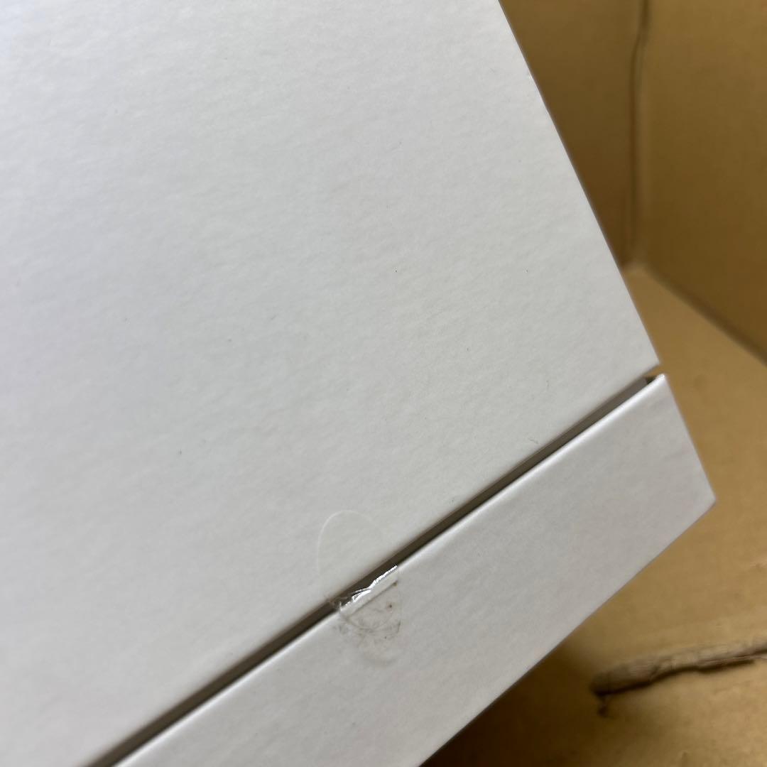 SALONIA サロニア ピュアブライト スチーマー SAL22207BE