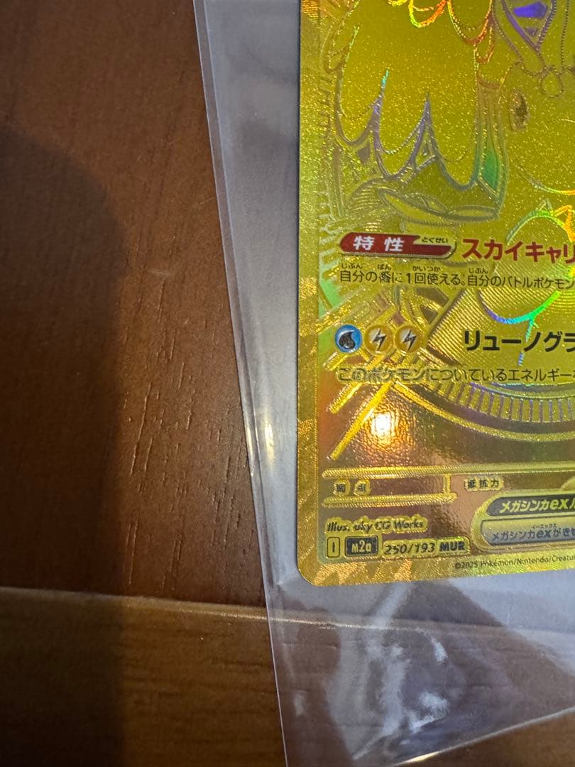 メガカイリュー ex MUR ディスプレイケース付　美品