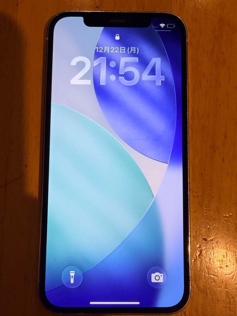 iPhone 12 Pro シルバー 256GB 本体ジャンク