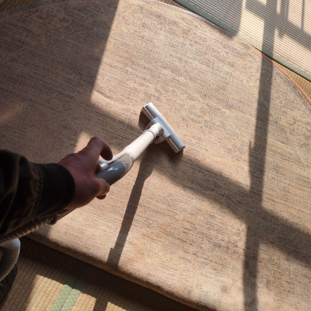 ★値下げ! 投げ売り お買い得★ペルシャ風絨毯 メダリオン柄 絨毯 センターラグ