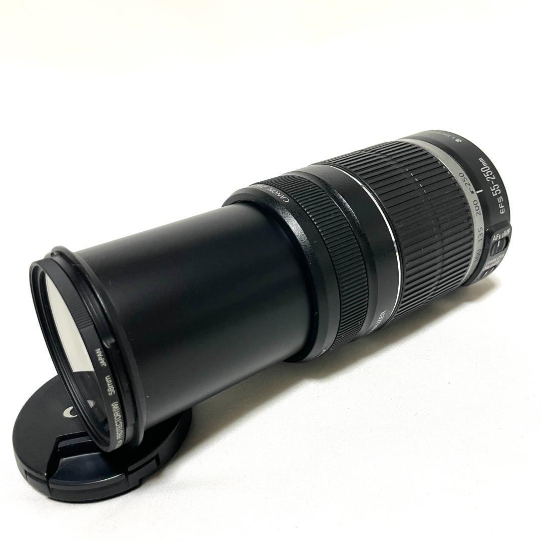 初心者安心❣️ EF-S 55-250mm 手ブレ補正 400mm相当