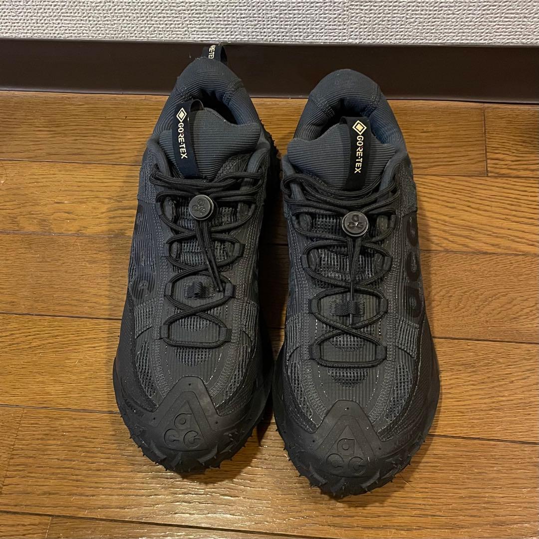 COYG ナイキ ACG マウンテン フライ 2 ロー GTX ゴアテック