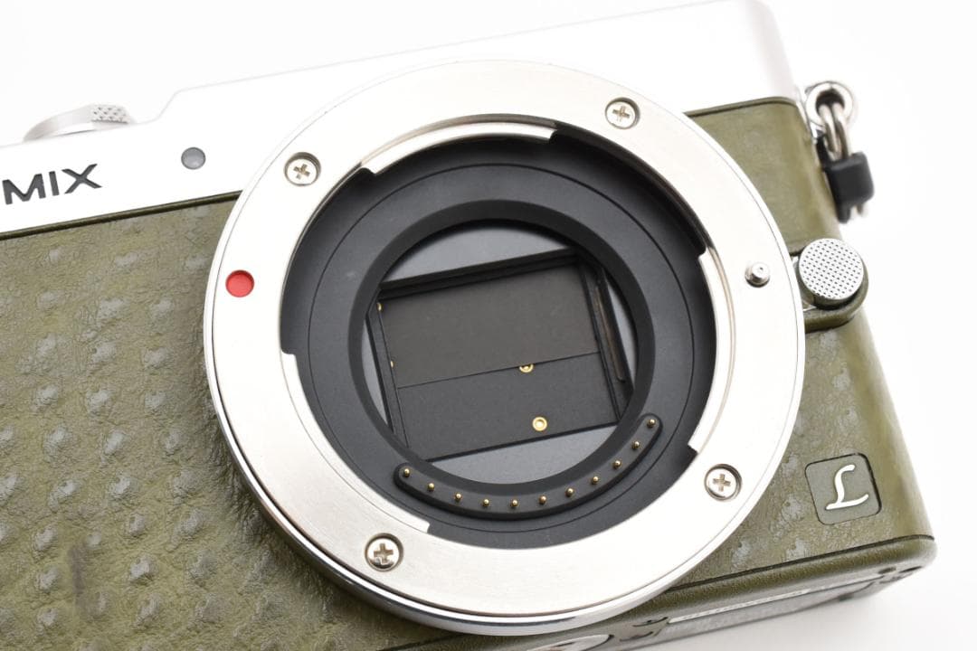 ショット数4622回■パナソニック LUMIX DMC-GM5