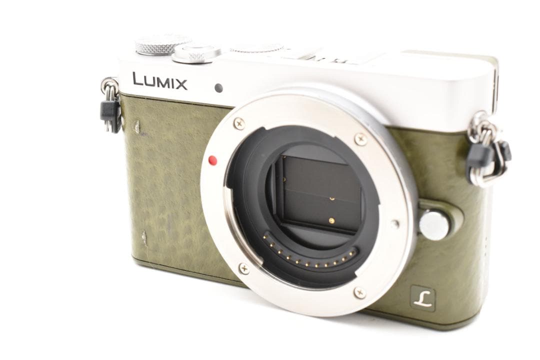 ショット数4622回■パナソニック LUMIX DMC-GM5