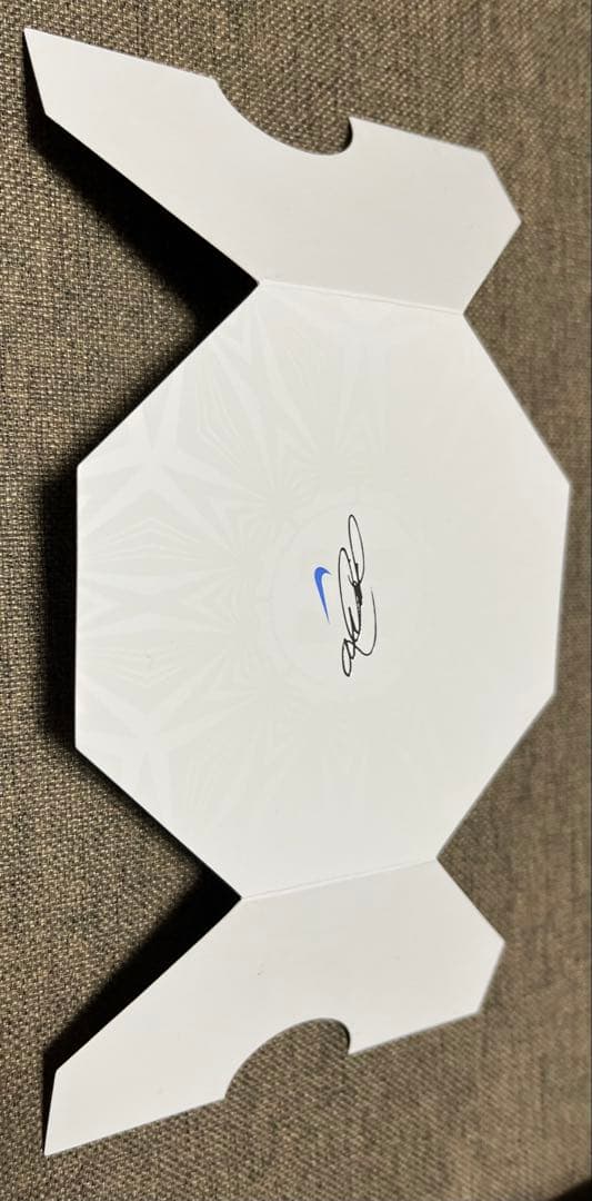 NIKE LEBRON 22EP ナイキ レブロン 30cm 替え紐 箱付き