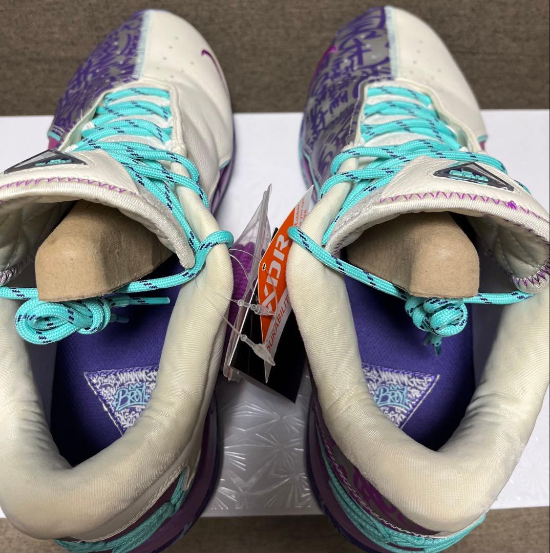 NIKE LEBRON 22EP ナイキ レブロン 30cm 替え紐 箱付き