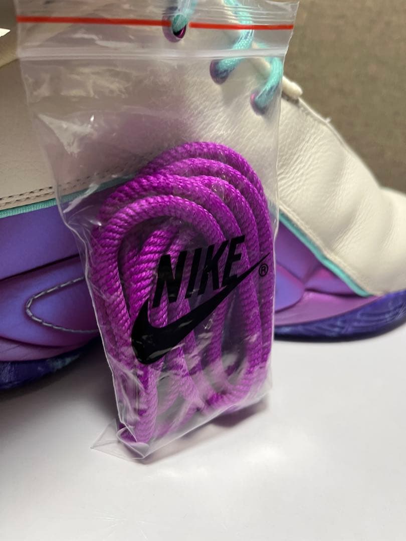 NIKE LEBRON 22EP ナイキ レブロン 30cm 替え紐 箱付き