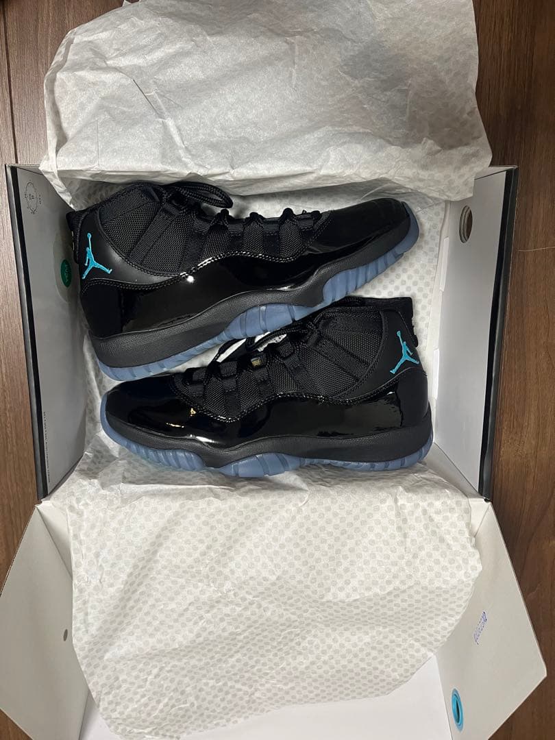 Nike Air Jordan 11 Retro Gamma ナイキ　28
