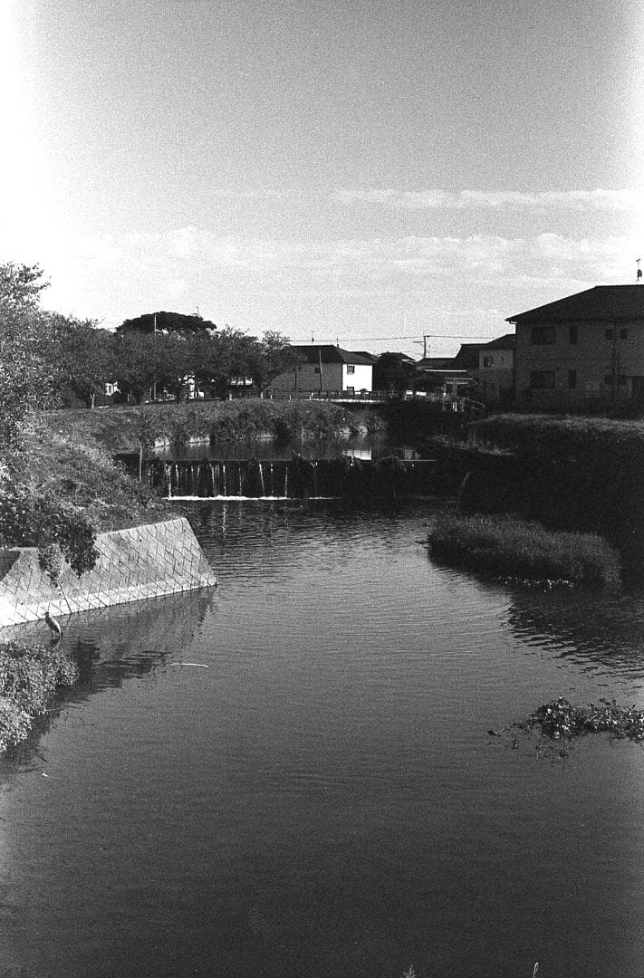 完動品作例有 PENTAX SP 黒/SMC Takumar 55mm f1.8