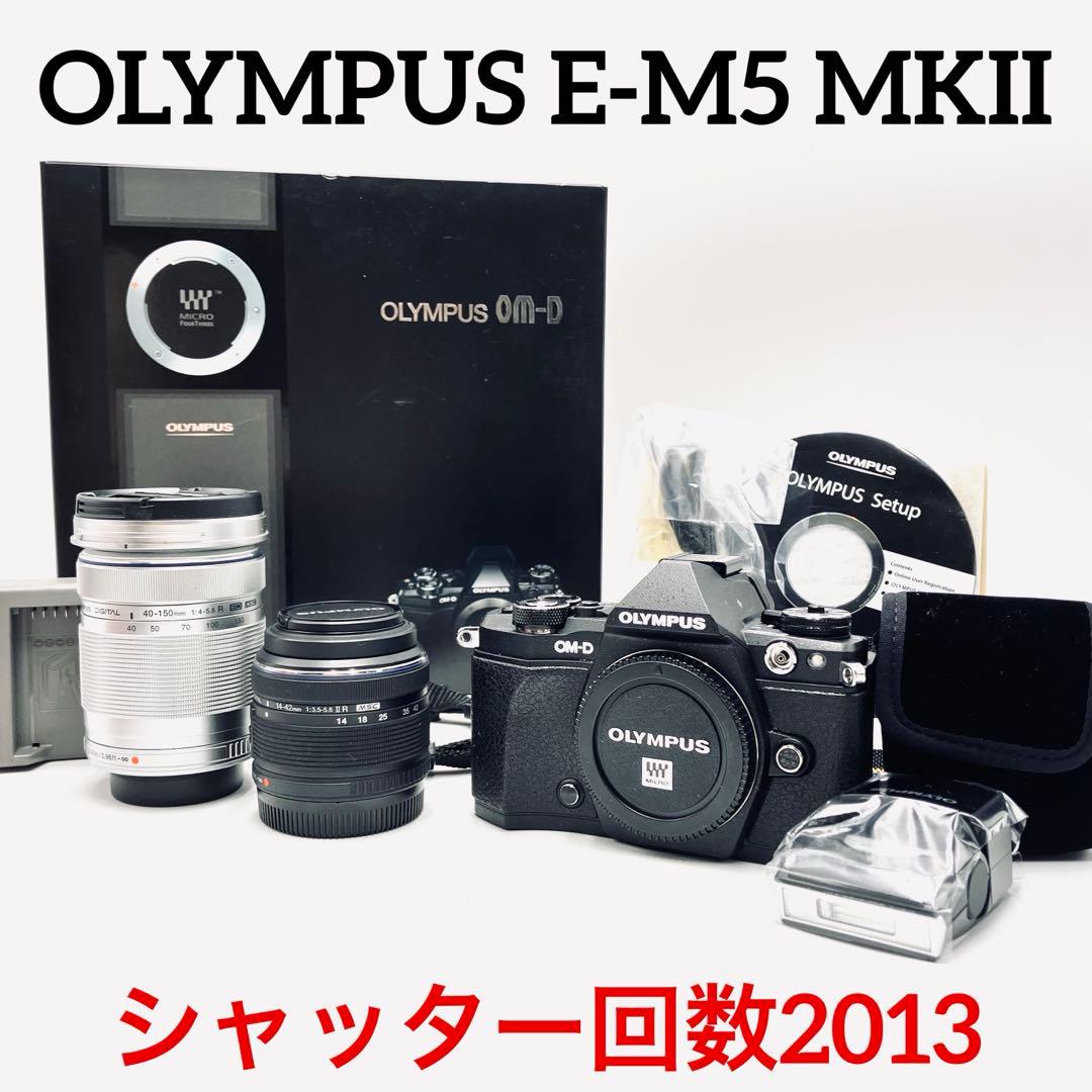 OLYMPUS OM-D E-M5 MKII 望遠ダブルレンズセット