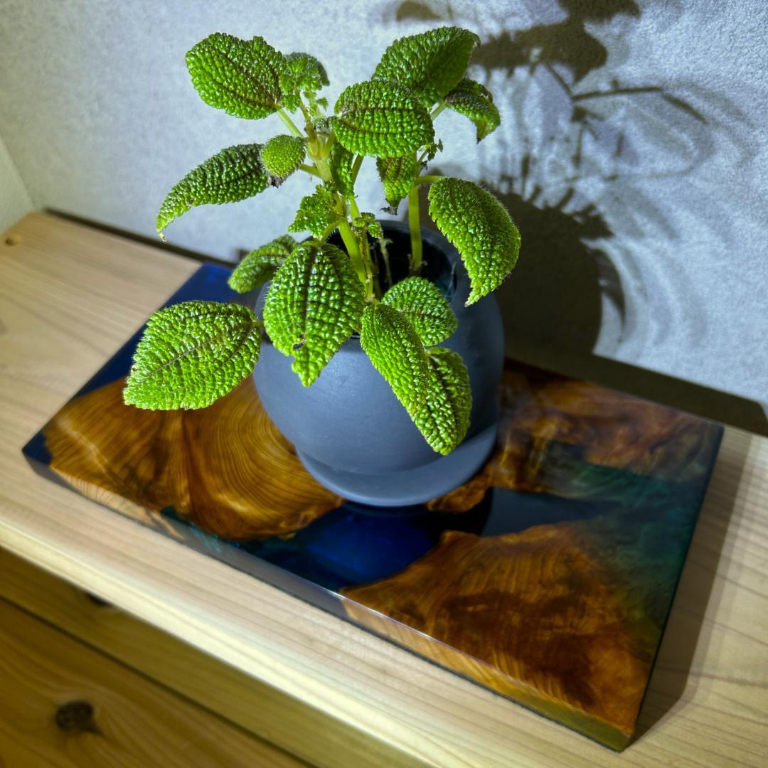 花台 飾り台 木製 フラワースタンド 敷板 インテリアトレイ トレー 小物置き