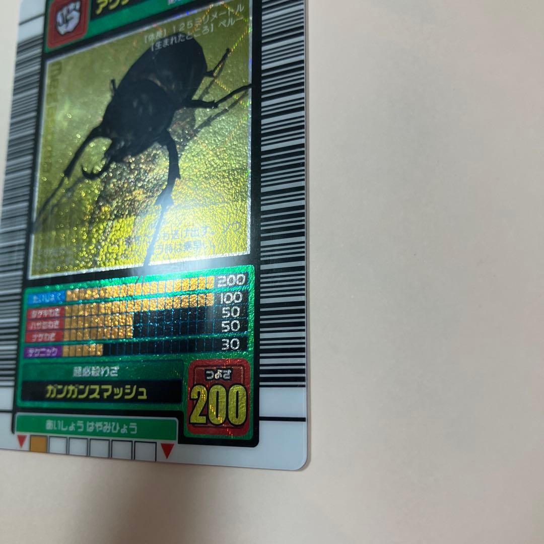 アクティオンゾウカブト 5周年記念 ハードコーティング