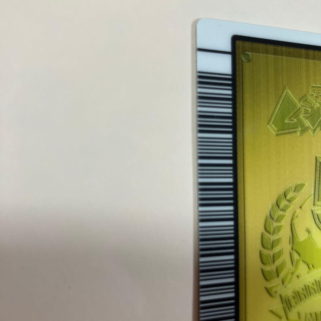 アクティオンゾウカブト 5周年記念 ハードコーティング