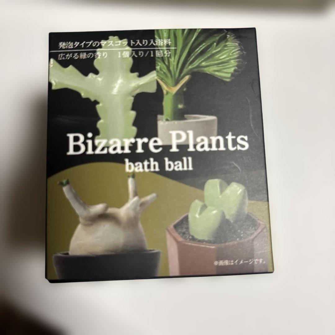 ビザールプランツ　バスボール　24個1箱BOX付き