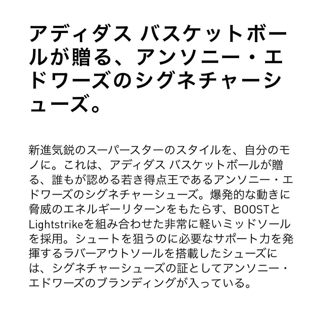 【ほぼ新品】adidas アンソニー・エドワーズ 1 ローバッシュ　27センチ