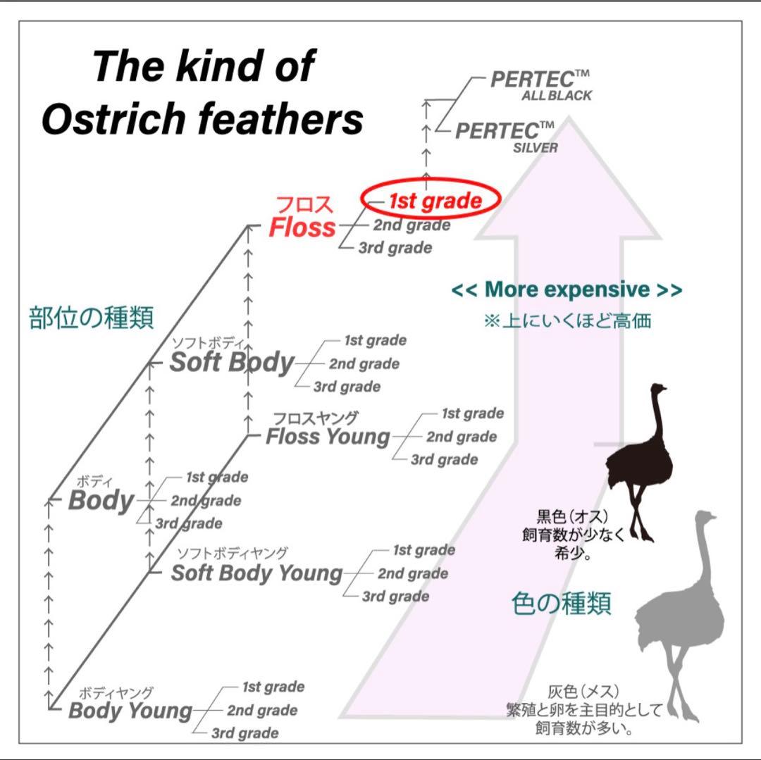 【予約1ヶ月待ち】最高級 松本 毛バタキ オーストリッチ 毛ばたき車 けばたき