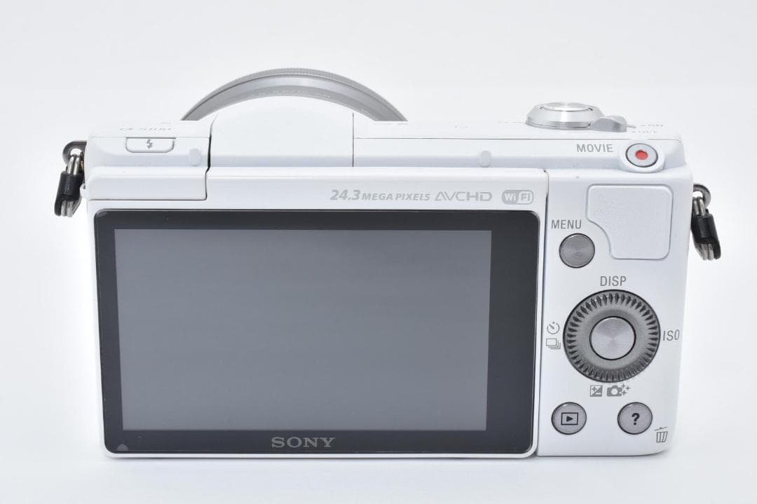 SONY a5100 ILCE-5100 パワーズームキットショット数1196回