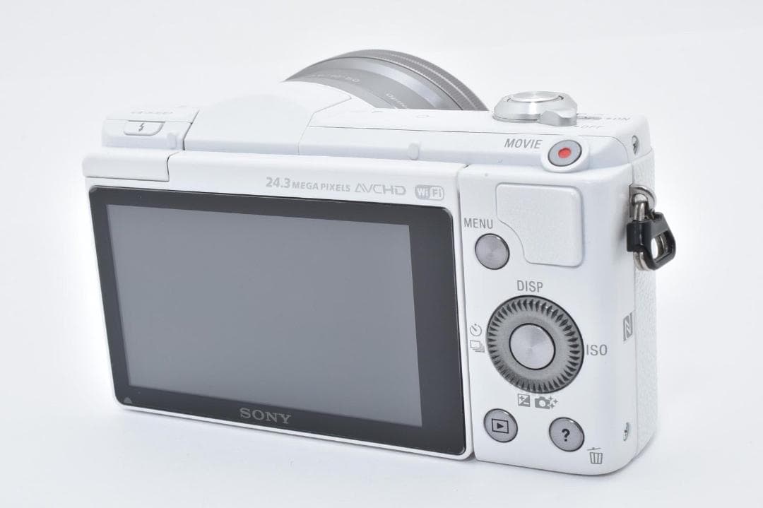 SONY a5100 ILCE-5100 パワーズームキットショット数1196回