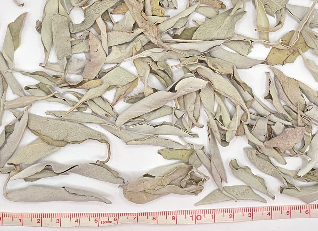 激安価格☆無農薬アウトレットホワイトセージ1KG枝無し業務用価額