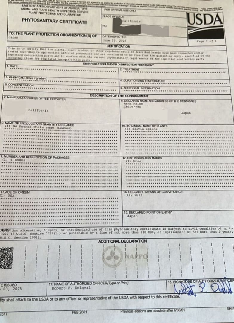 激安価格☆無農薬アウトレットホワイトセージ1KG枝無し業務用価額