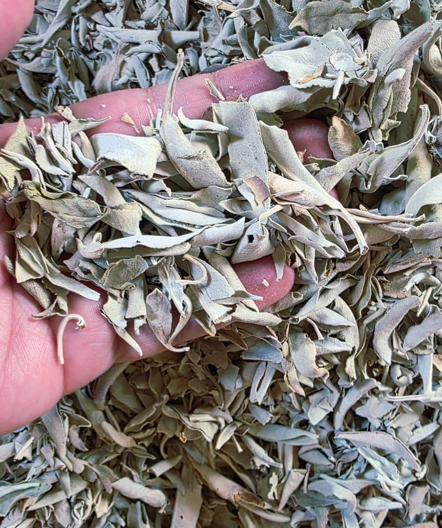 激安価格☆無農薬アウトレットホワイトセージ1KG枝無し業務用価額