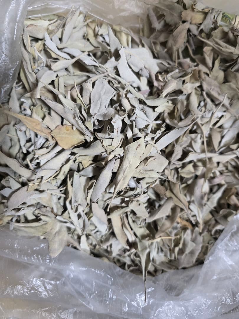 激安価格☆無農薬アウトレットホワイトセージ1KG枝無し業務用価額