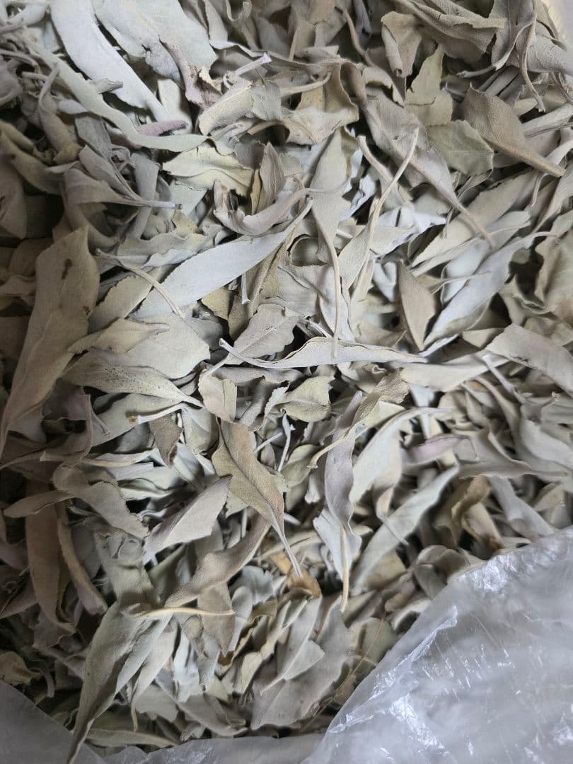 激安価格☆無農薬アウトレットホワイトセージ1KG枝無し業務用価額