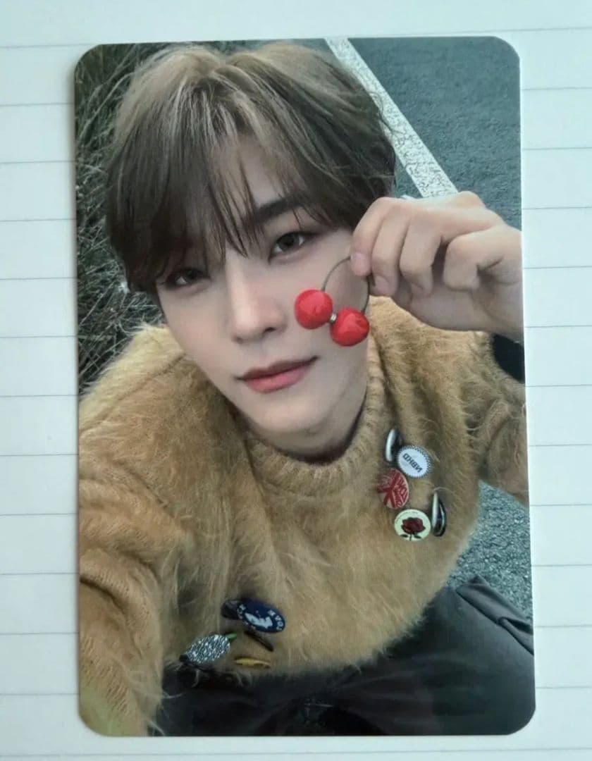 韓国　Alphadriveone　ALD1　サノク　シンロン　トレカ