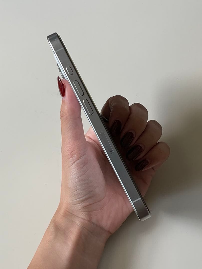【ジャンク品】iPhone15pro 画面割れ　動作正常