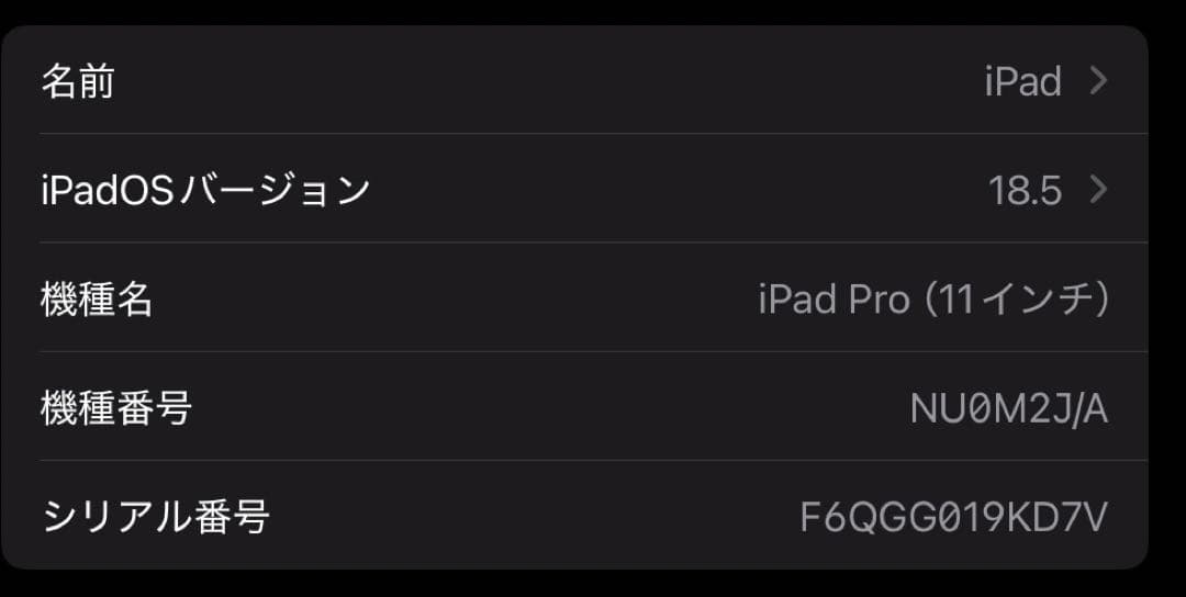 Apple iPad Pro 11インチ　第一世代　64GB wifiモデル