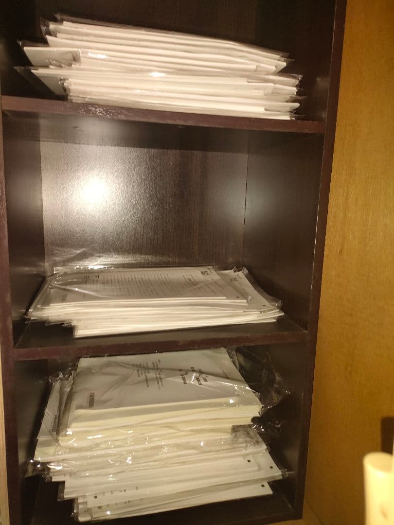 ゆ*み様 CPA会計学院24/25目標論文フルセット（※短答式合格に向けた教材は