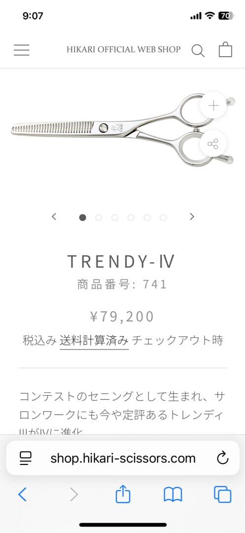 光シザー　トレンディⅣ 741