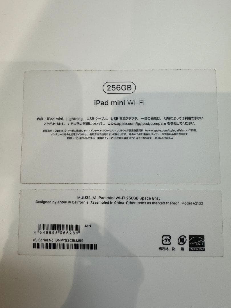 iPad mini5 & ApplePencil(第1世代)セット