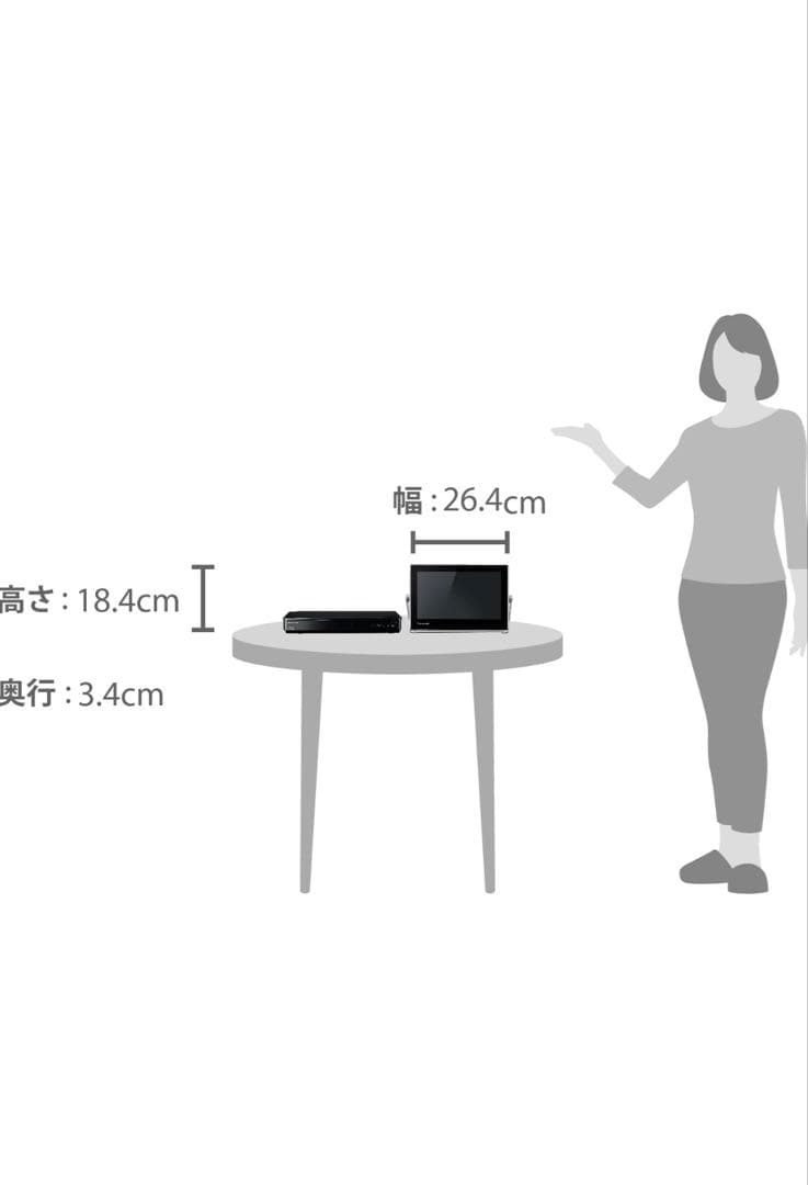 パナソニック 10V型 液晶 テレビ プライベート・ビエラ UN-10TD6-K