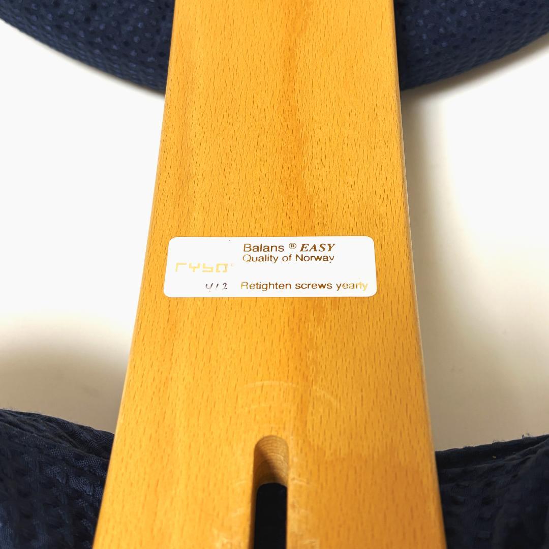 【美品】バランスイージー ネイビー 純正カバー付