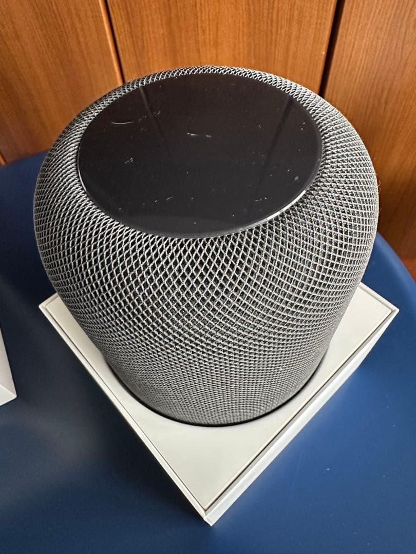 Ryo Apple Pod スペースグレー 本体 第1世代