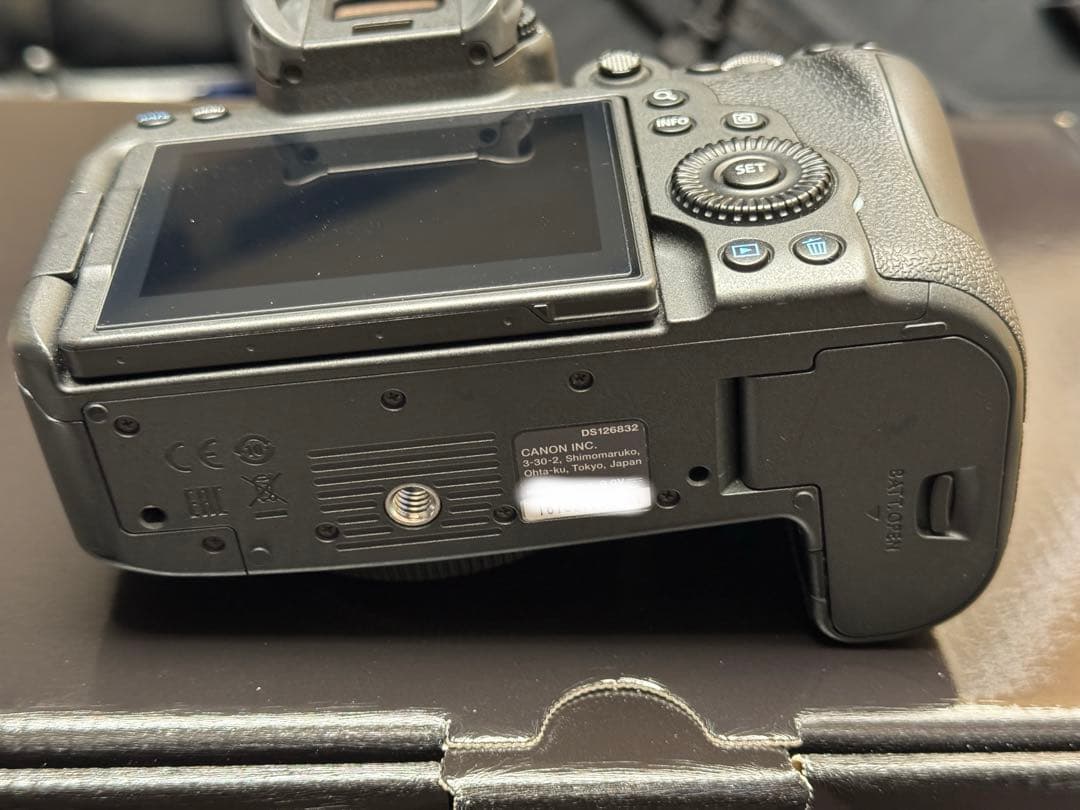 Canon EOS R6 ミラーレスカメラ 付属品完備