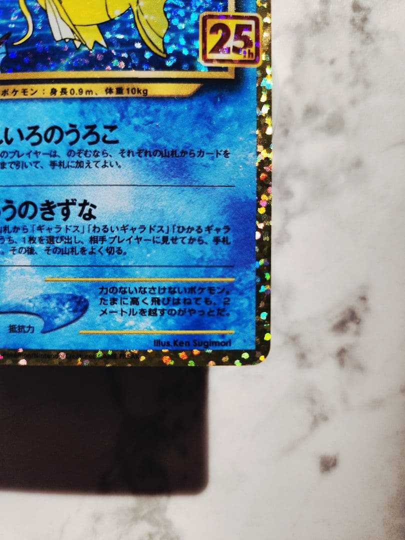 ひかるコイキング 25th ANNIVERSARY プロモ 25周年