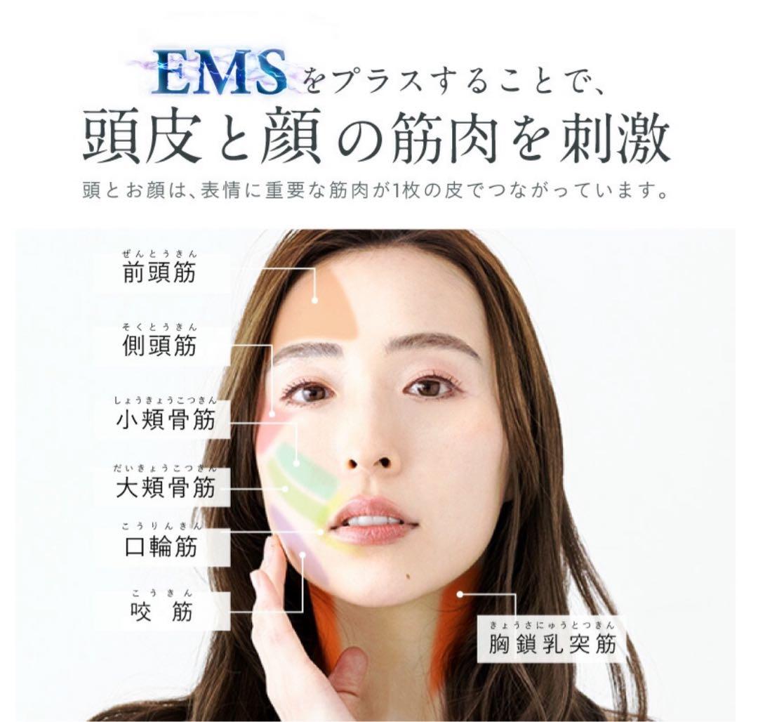 【美品】NIPLUX EMS LED ヘッドスパ　美顔器　マッサージお値下げ！