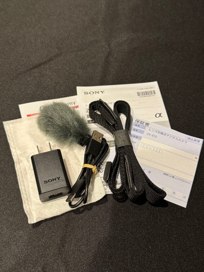 【美品・即発送】SONY ZV-E10 本体＋純正バッテリー付 ミラーレス一眼