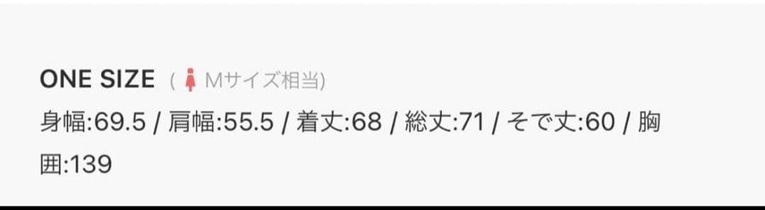 新品未使用タグ付き　BIGポケットスタンドワークアウター