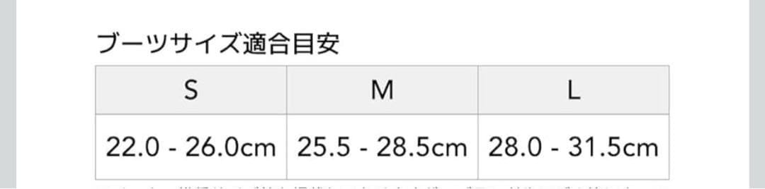 新品未使用　サロモン 2点セット スノーボード156 &ビンディングM セット