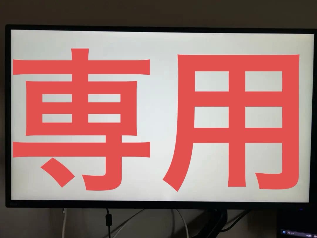 ディスプレイ・モニター本体 Otodus.megalodon