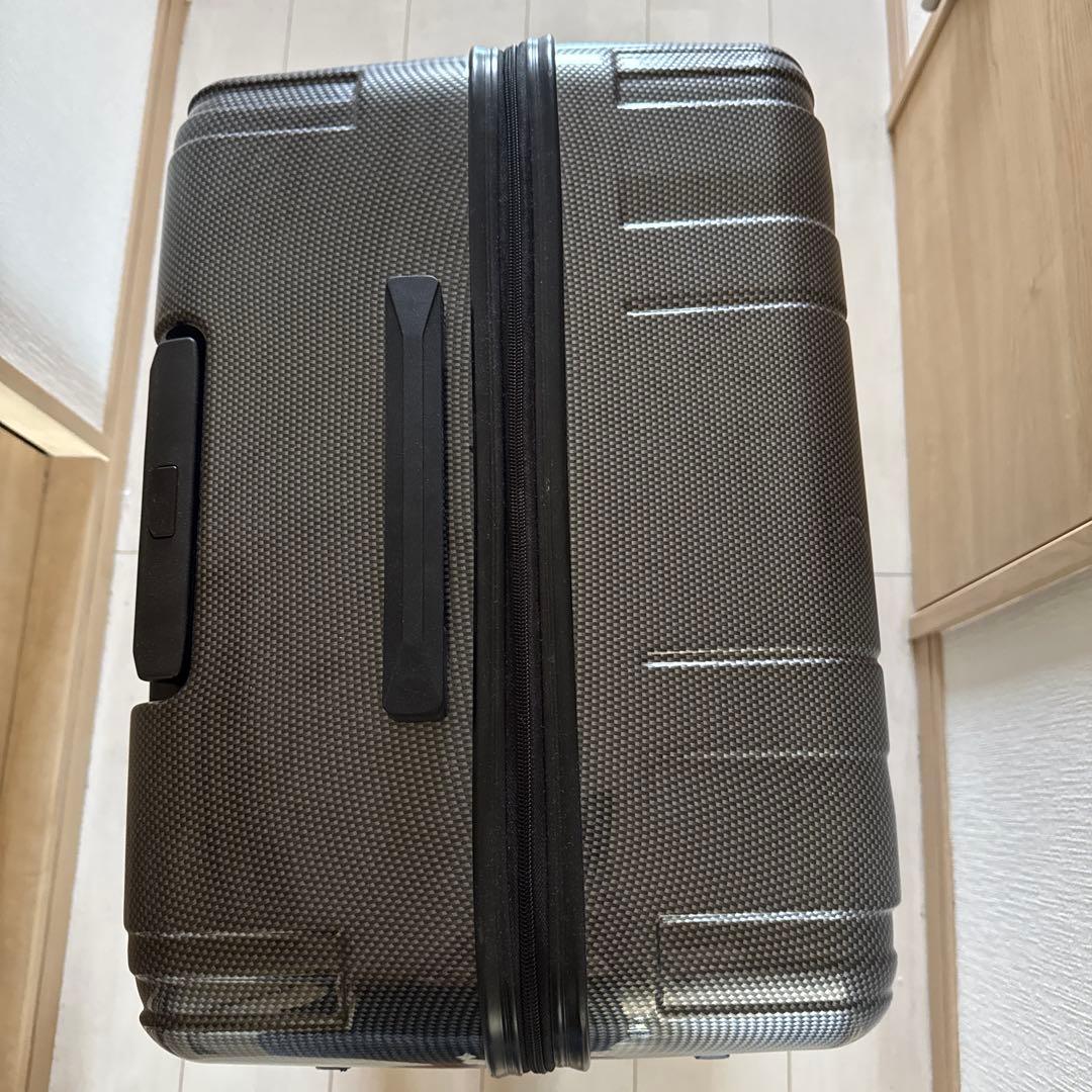 【55perikan】 ACE パリセイド100りったーLキャリーケース