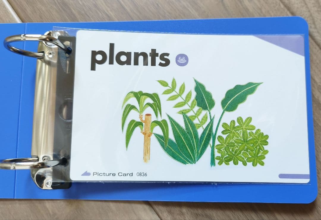 ペッピーキッズクラブ収納リングファイル＆OPP袋