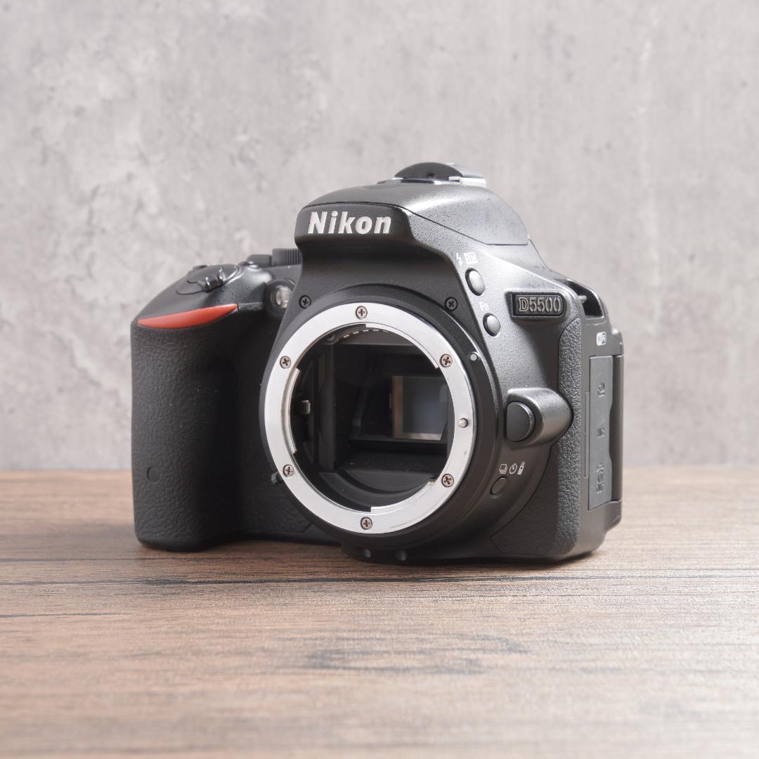 ✨美品✨Wi-Fi搭載✨自撮りOK✨初心者に✨Nikon D5500　783-1