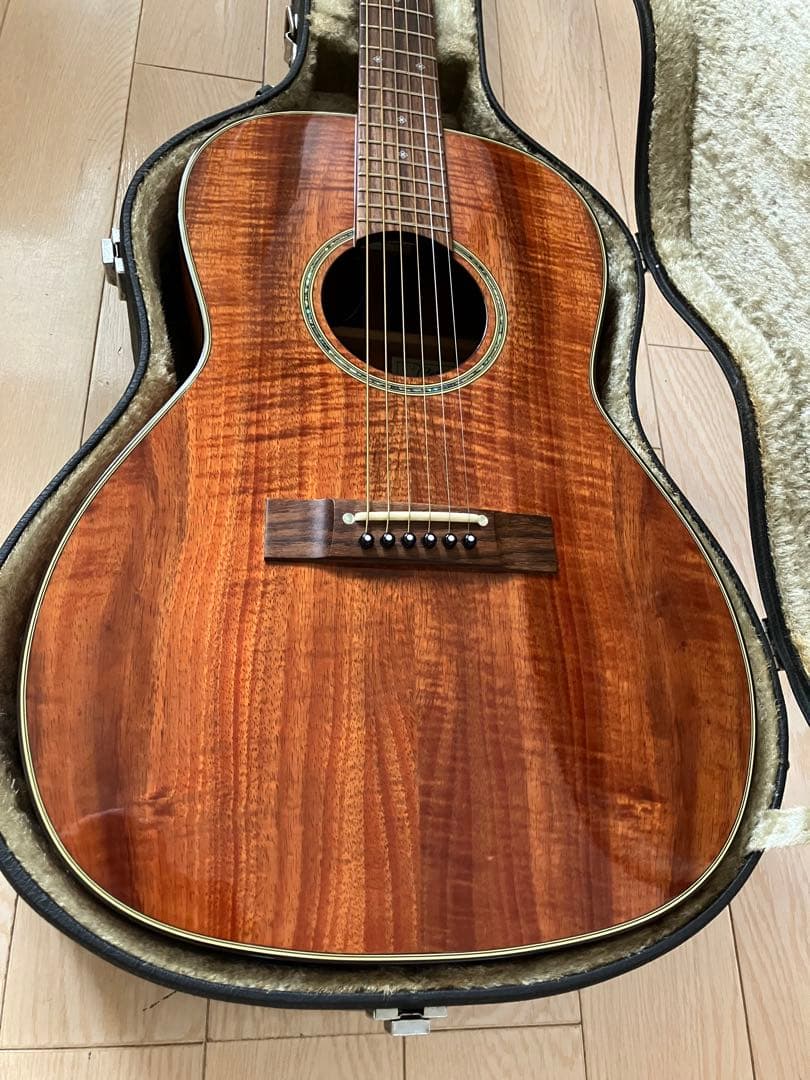 オールコア Takamine PTU409K