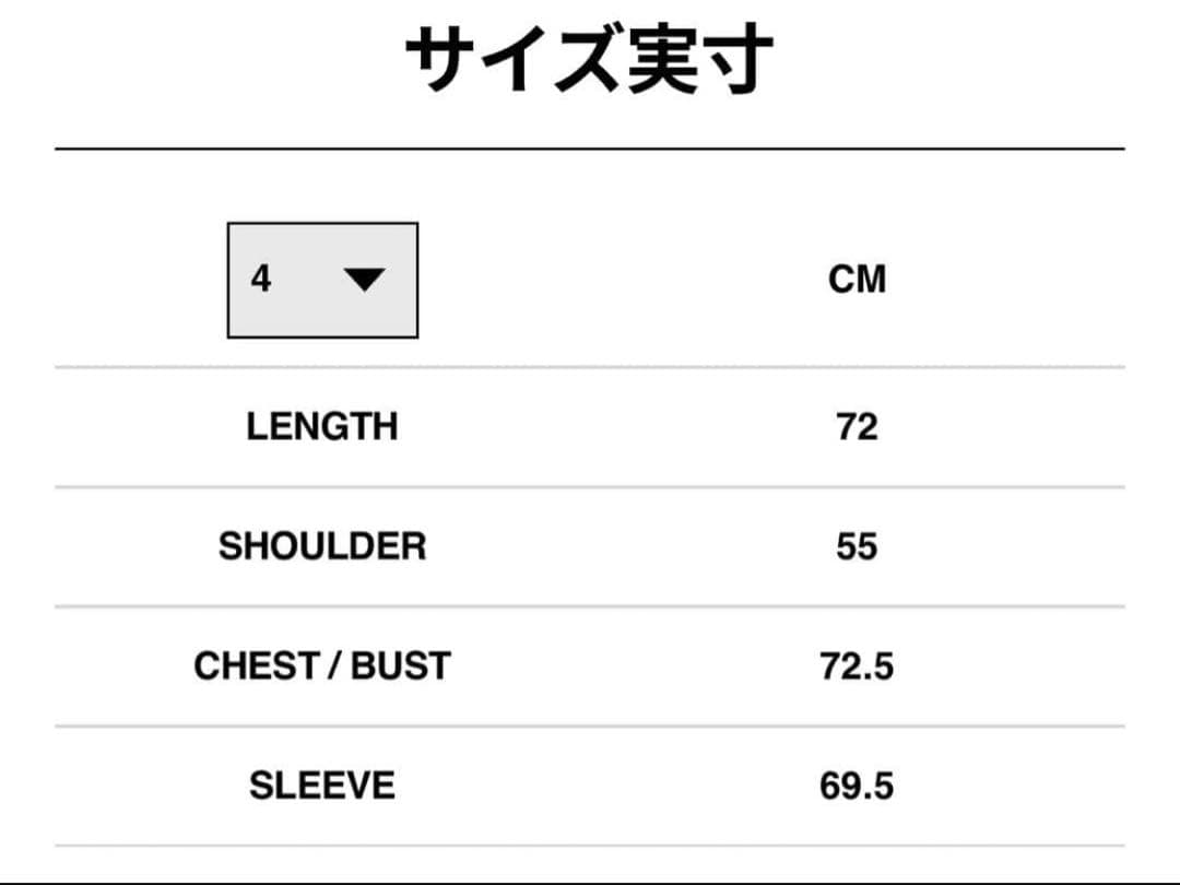 sacai Carhartt WIP Nylon Twill Blouson 黒