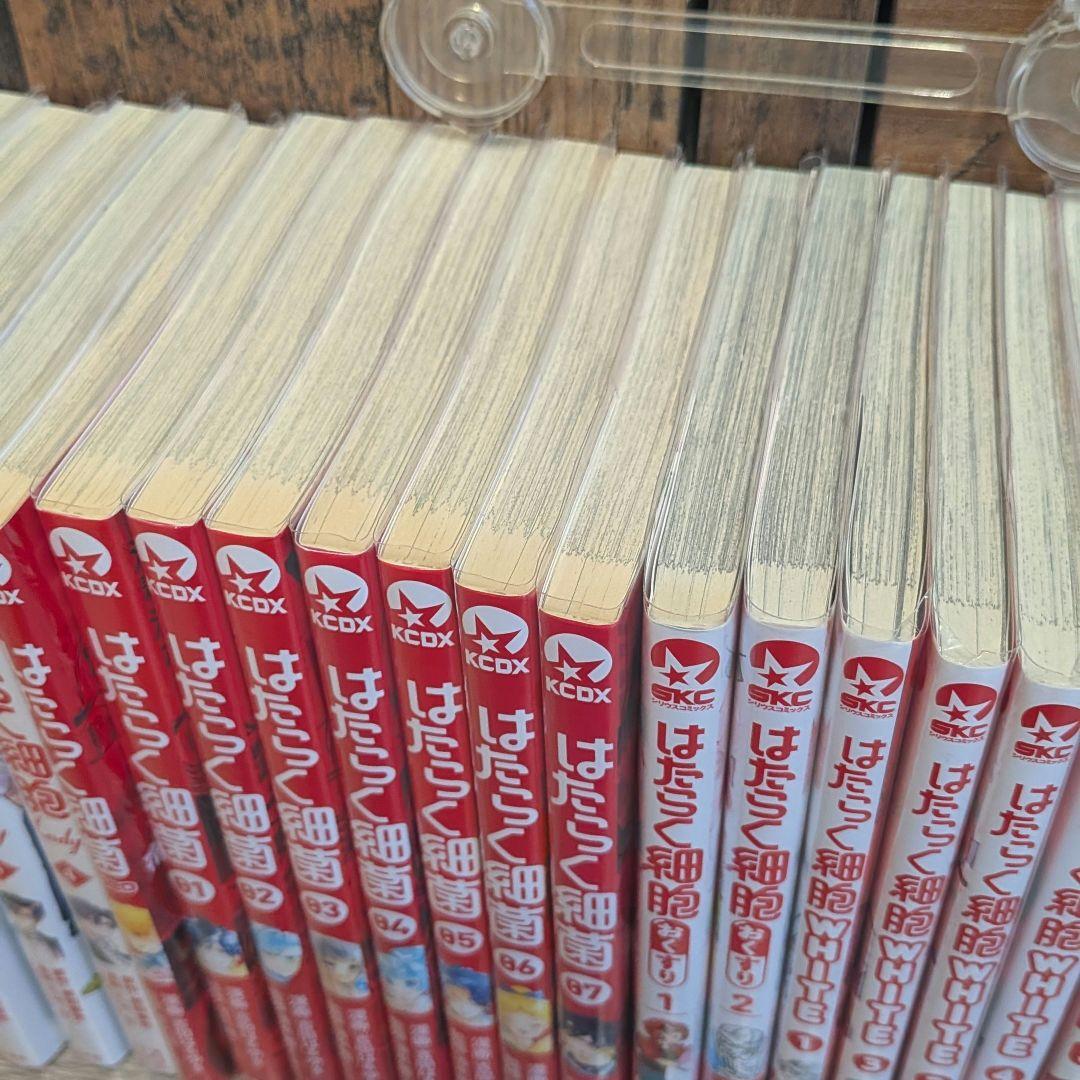 さ*こ様 はたらく細胞 全巻セット　black　血小板　lady　細菌　おくすり