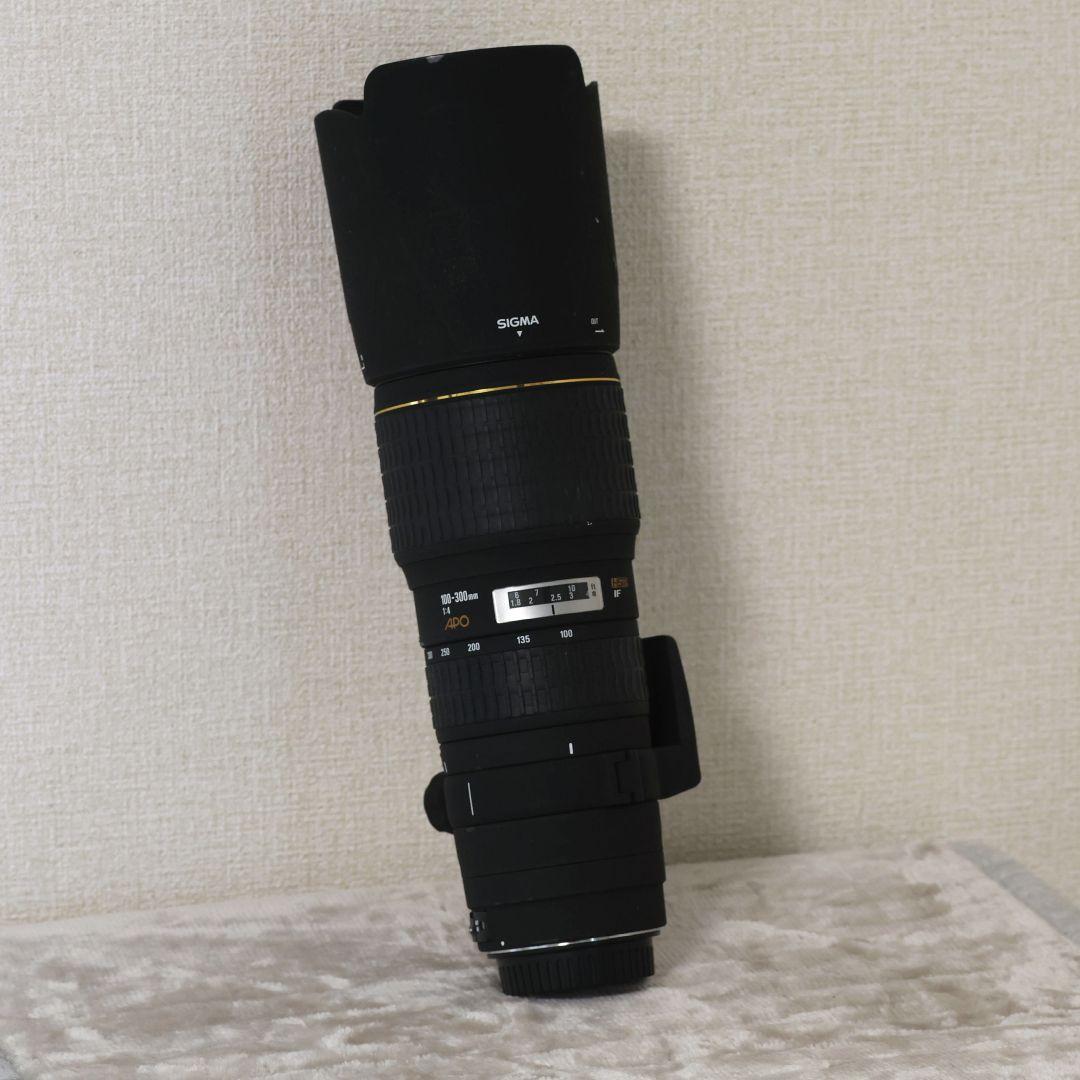 SIGMA 100-300mm F4 レンズ (EFマウント)